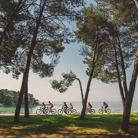 Rubin Rovinj